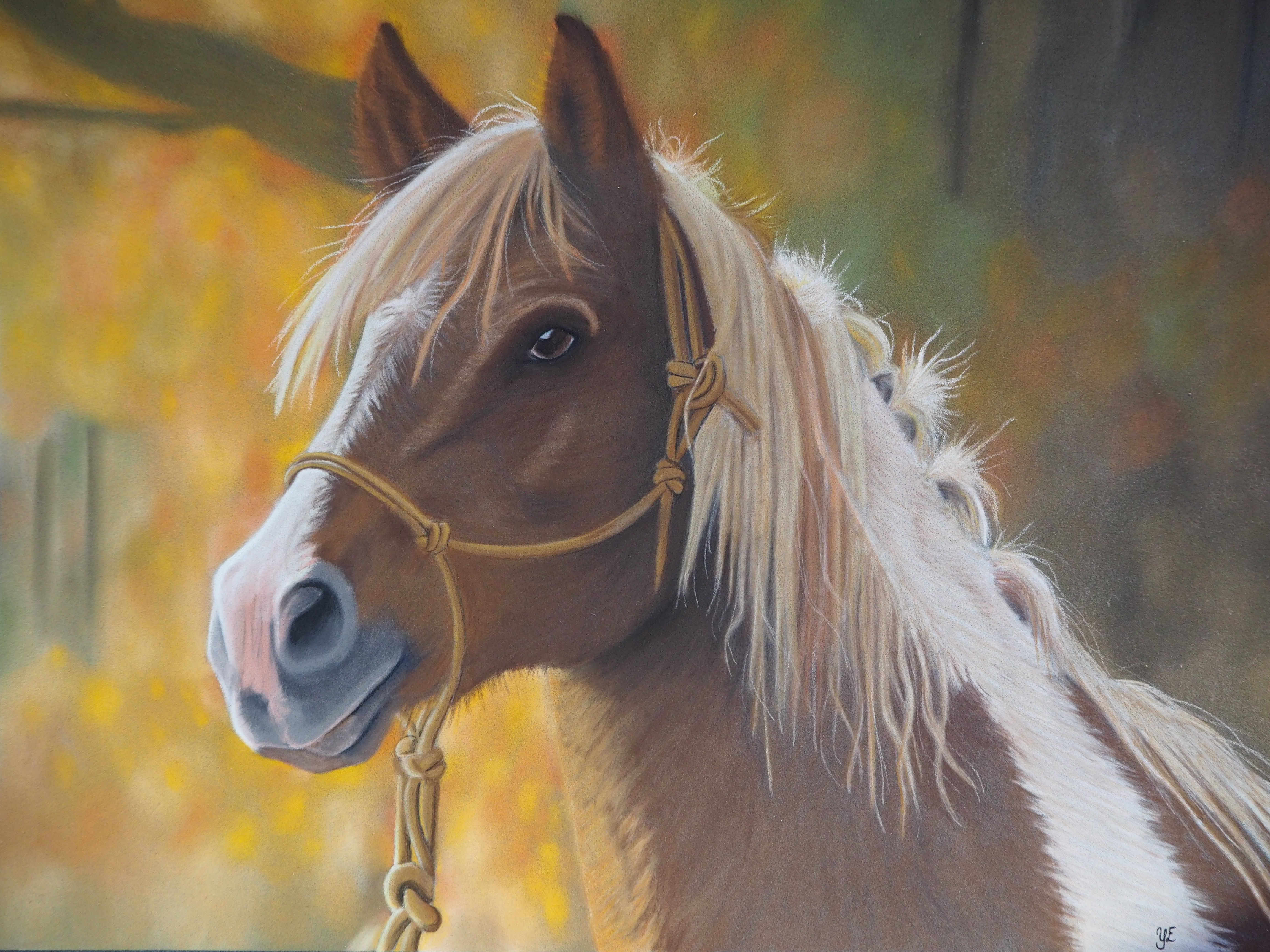 Häst porträtt pastell