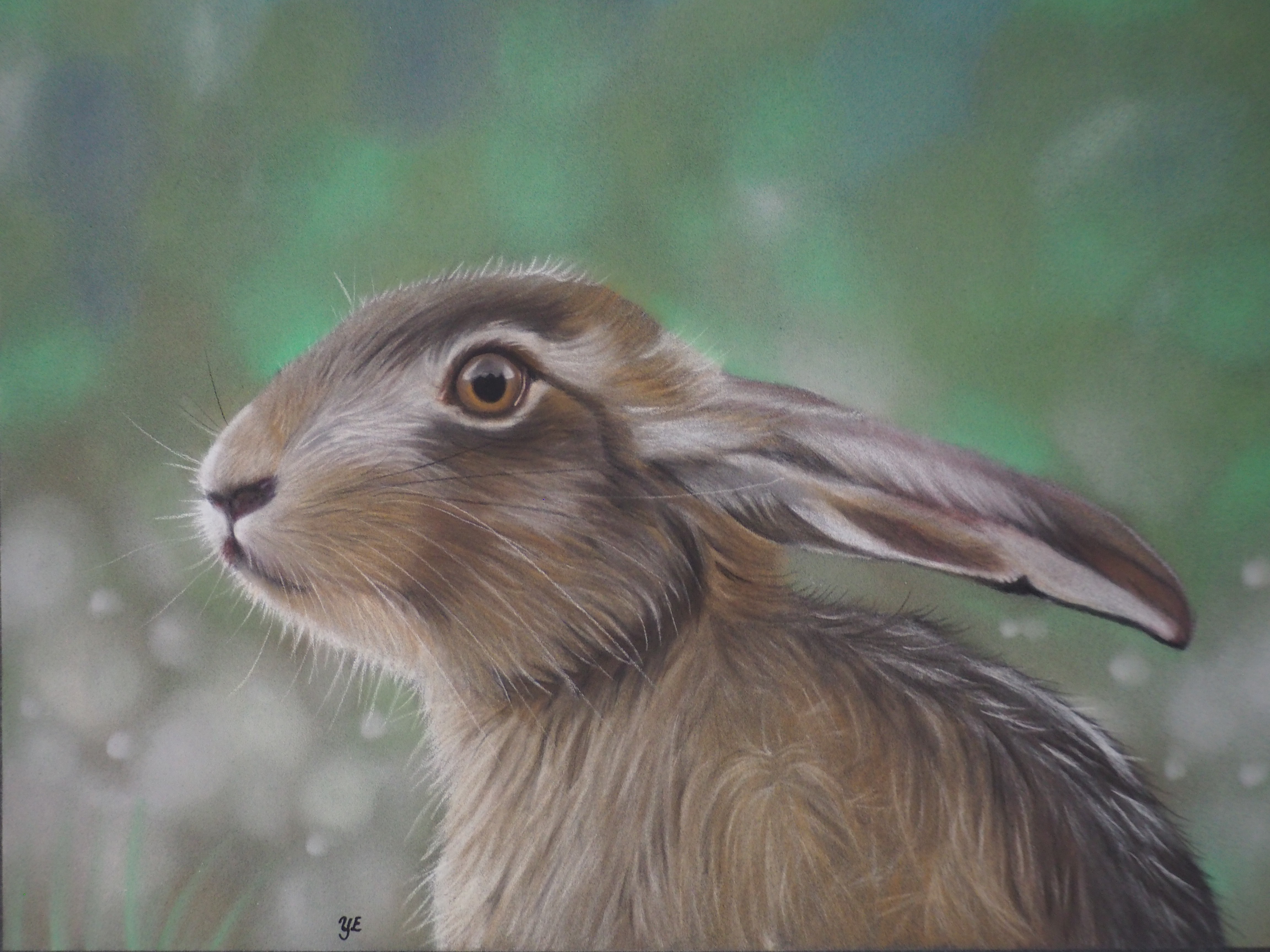 Hare - Orginalmålning i pastell