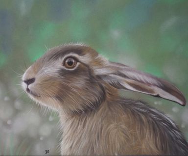 Hare i pastell