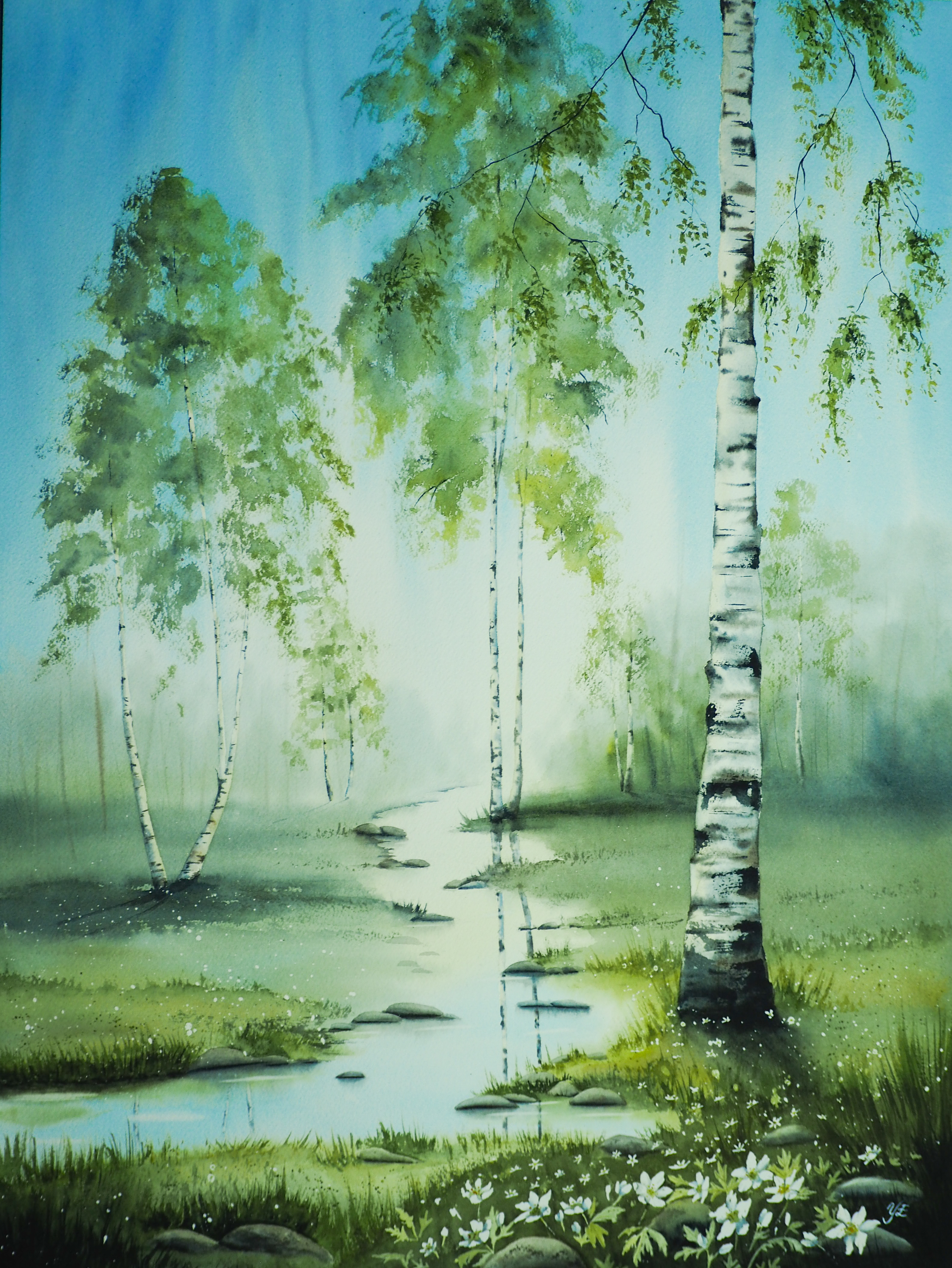 Vitsippeskogen - Originalmålning i akvarell