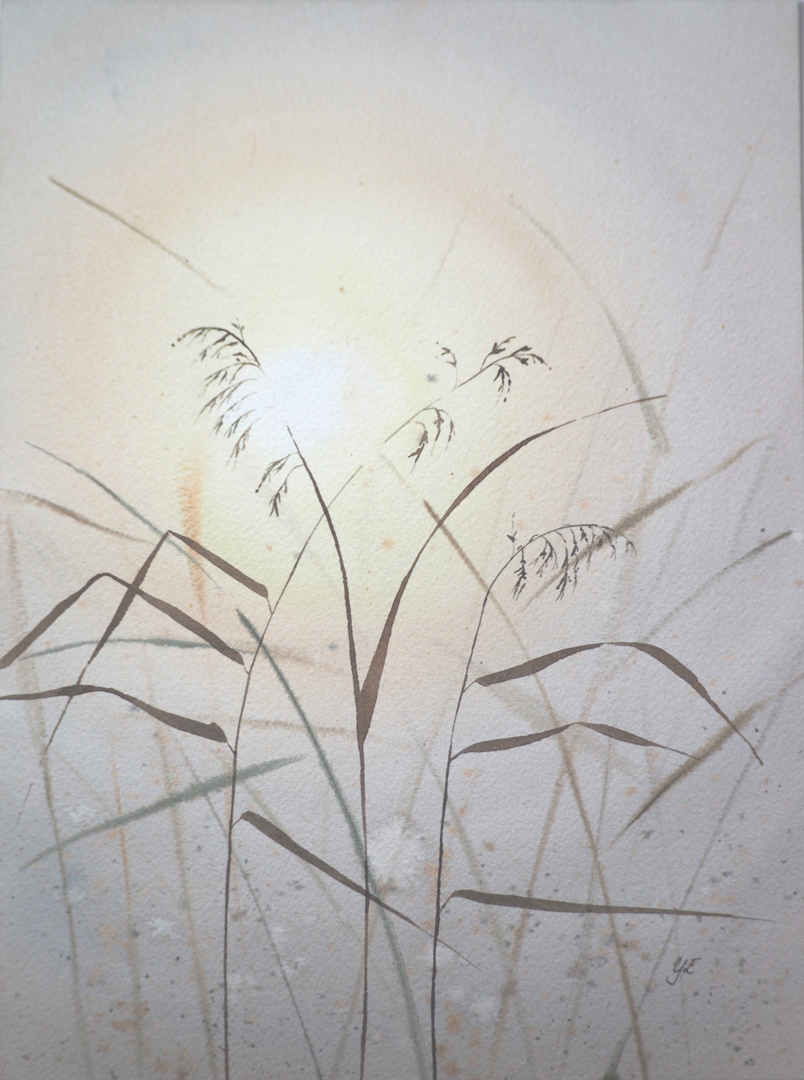 Strå i morgonljus - Orginalmålning i akvarell